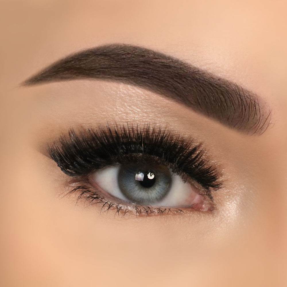 Eyelashes Premium 3D Volume black Hazel in packaging